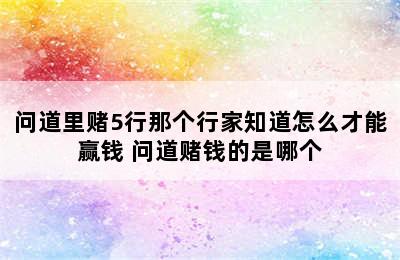 问道里赌5行那个行家知道怎么才能赢钱 问道赌钱的是哪个